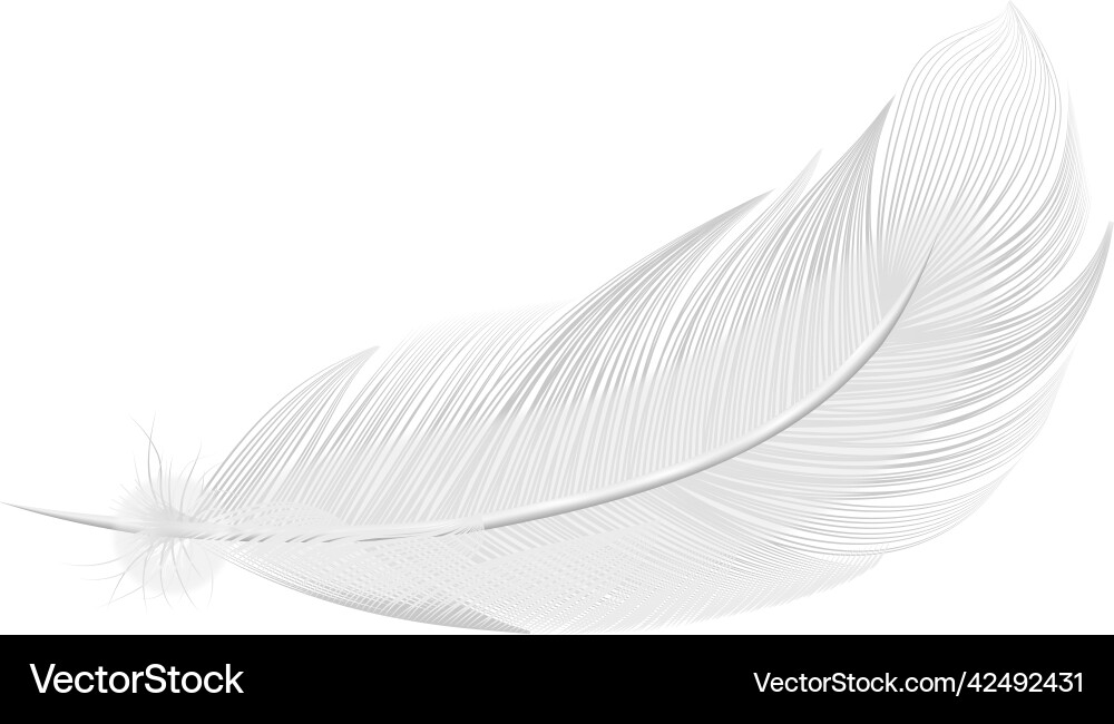 Realistic pure feather composition Royalty Free Vector Image