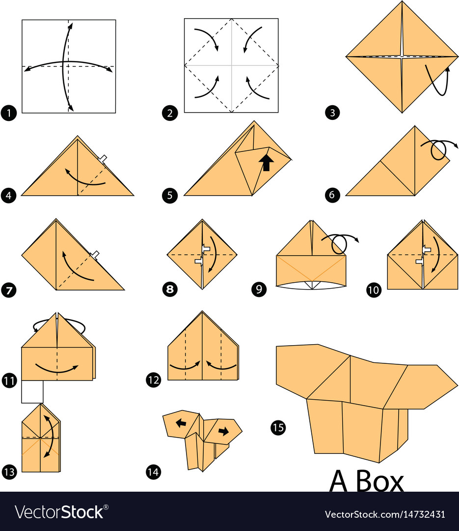 Step By Step Instructions How To Make Origami Vector Image