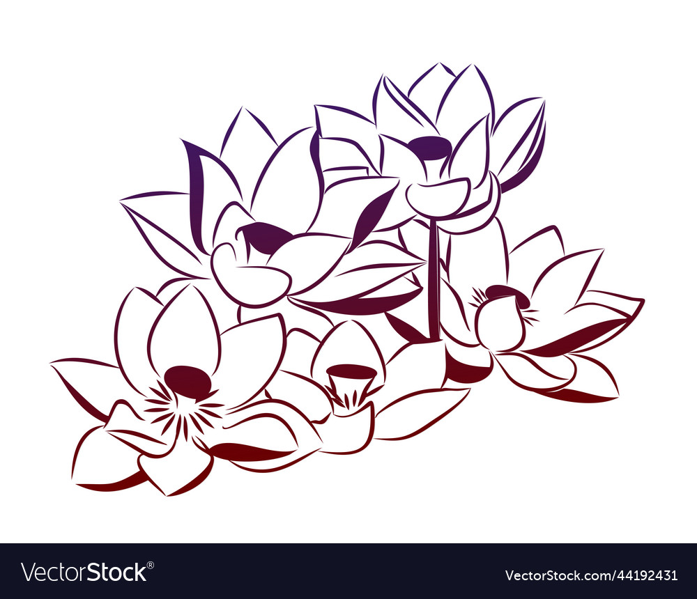 Symbol of water lilies Royalty Free Vector Image