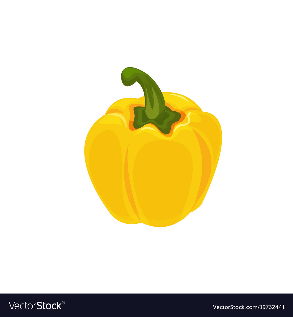 Fresh sweet yellow pepper cartoon Royalty Free Vector Image