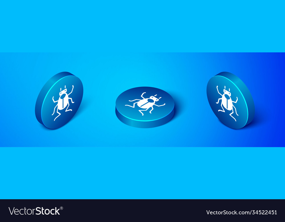 Isometric beetle bug icon isolated on blue