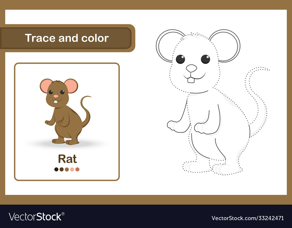 Drawing worksheet trace and colour rat