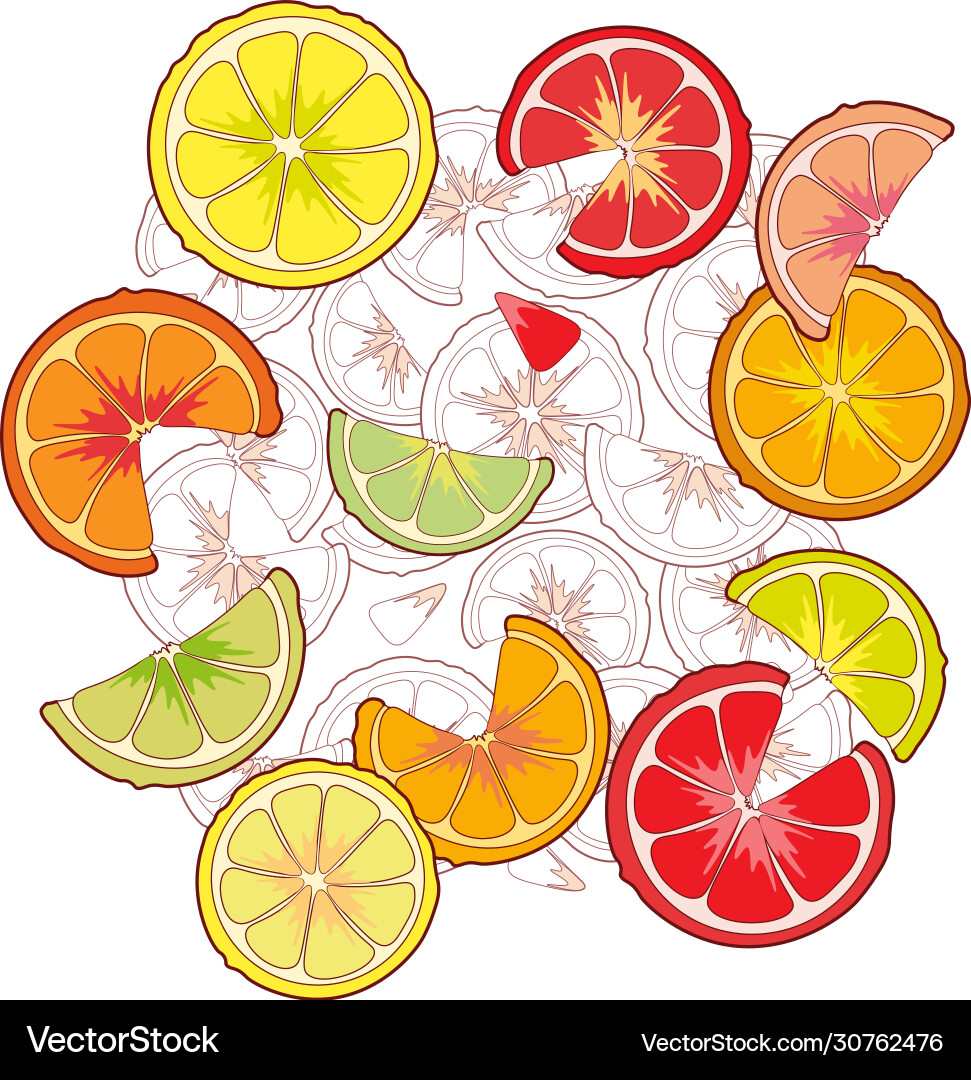 Bright grapefruit fruit Royalty Free Vector Image