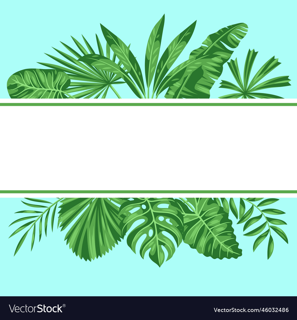 Background with stylized palm leaves image Vector Image