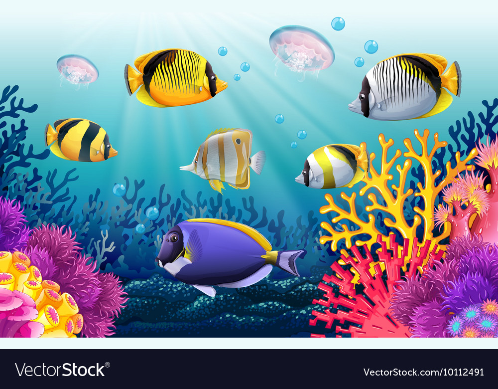 Fish swimming under the sea