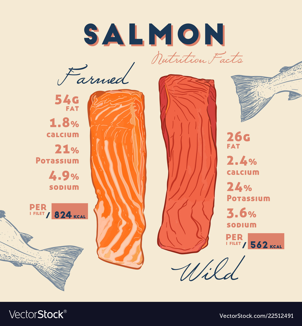 nutrition-fact-wild-and-farmed-salmon-royalty-free-vector