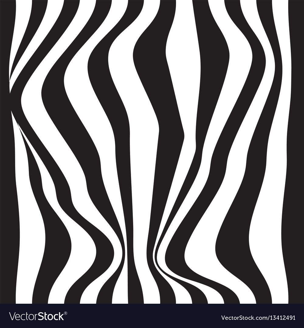 Striped abstract background black and white zebra