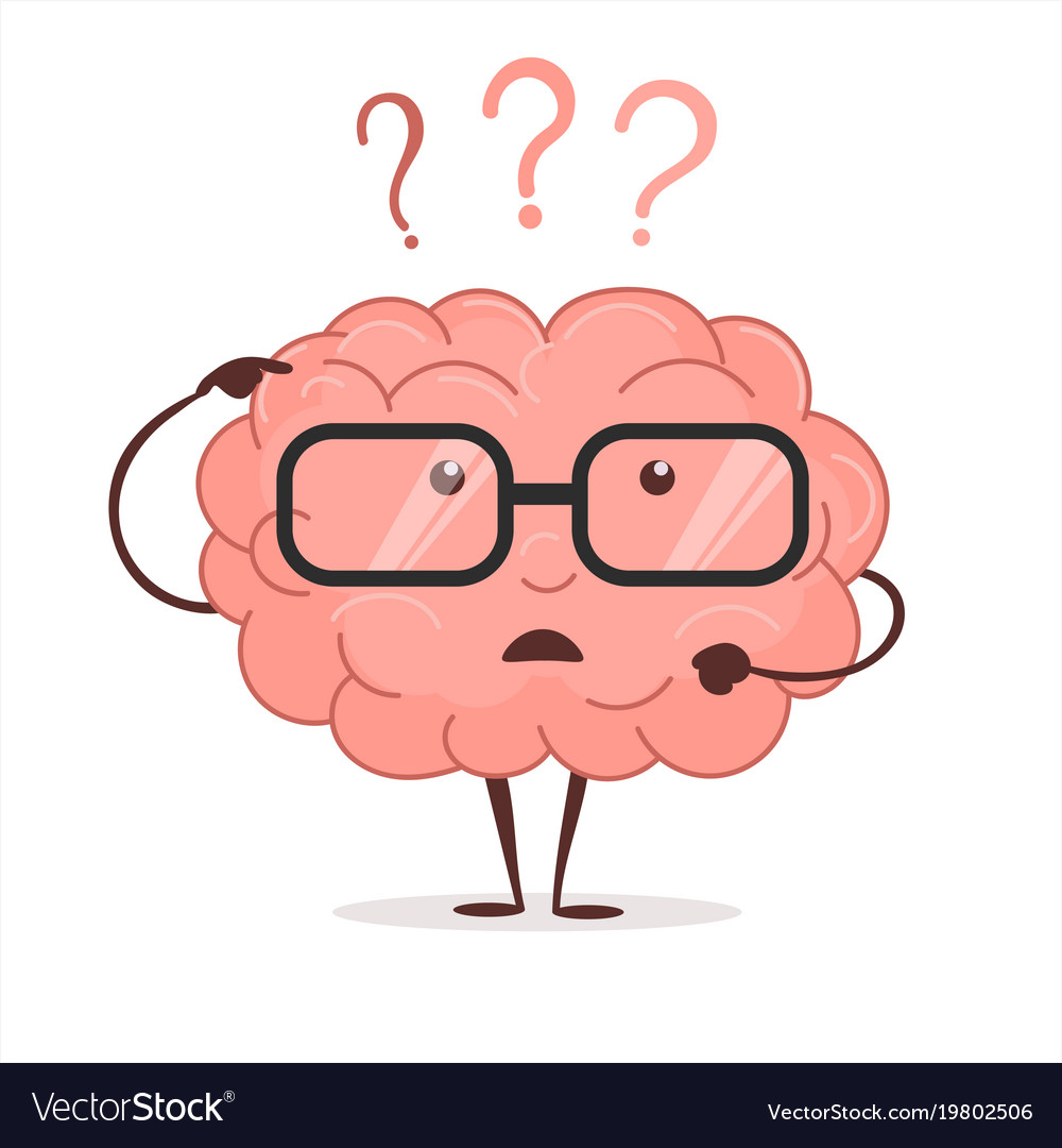 Image result for brain