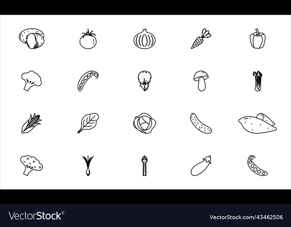 Vegetables icons set outline black eps 10 Vector Image