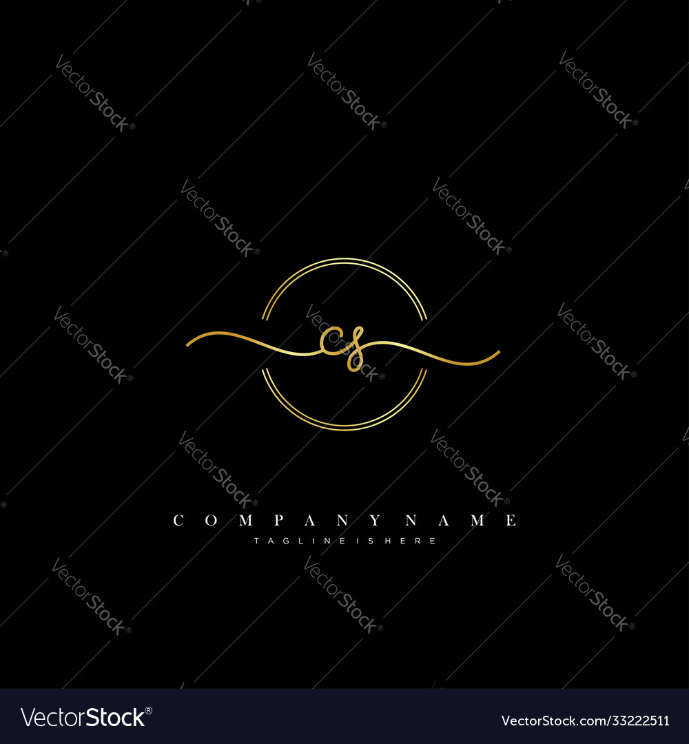 Cs initial handwriting minimalist geometric logo Vector Image