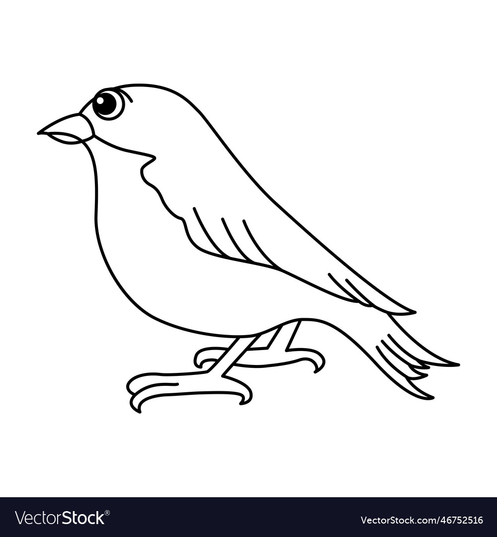 Cute bird cartoon coloring page for kids Vector Image