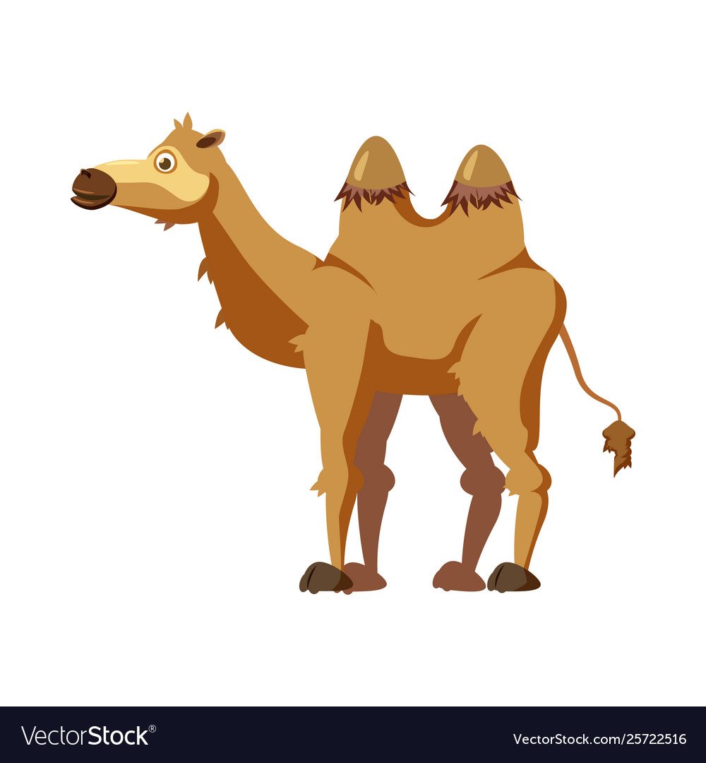 Cute camel animal trend cartoon style Royalty Free Vector