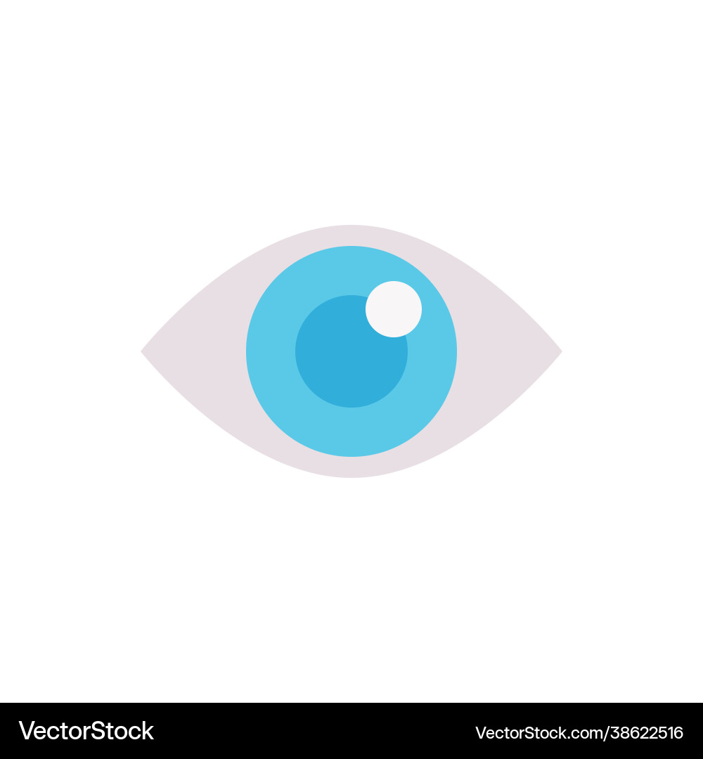 Eye icon optic Royalty Free Vector Image - VectorStock