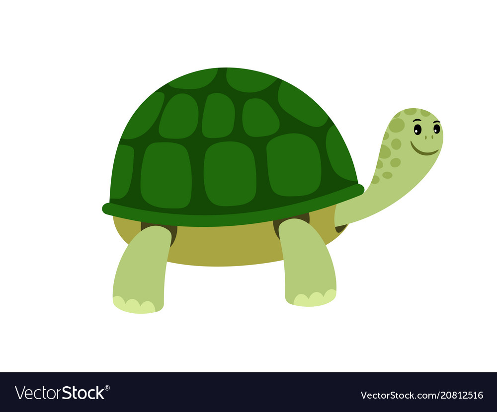 Green cute turtle cartoon icon Royalty Free Vector Image