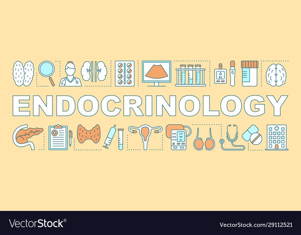 Endocrinology Word Concepts Banner Royalty Free Vector Image