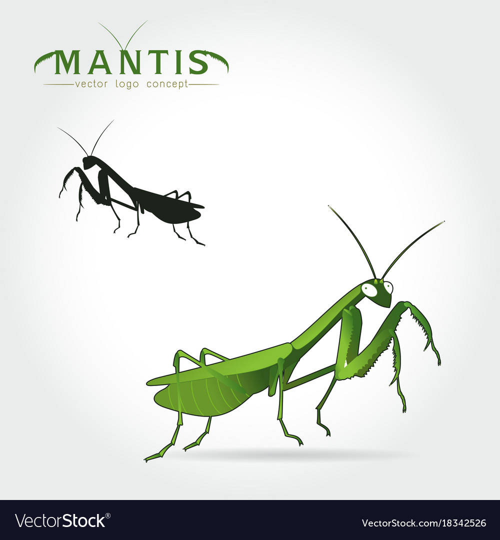 Green mantis