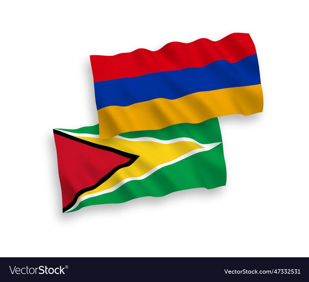 Flags of co-operative republic guyana Royalty Free Vector