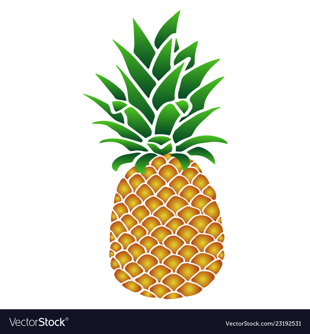 Sweet Yellow-orange Pineapple With Green Leaves Vector Image