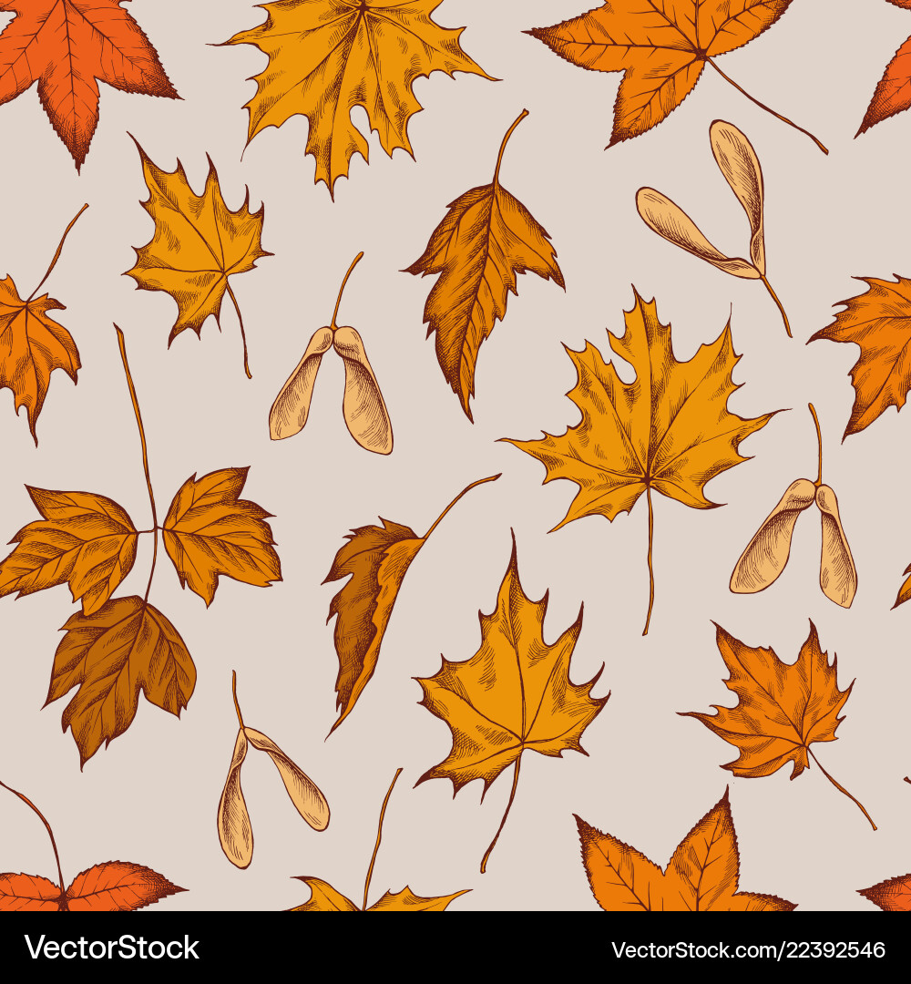 Seamless pattern of autumn hand Royalty Free Vector Image