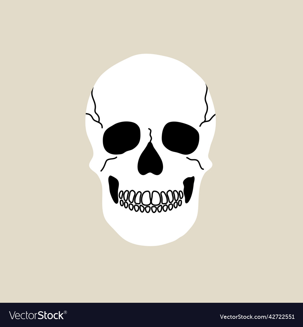 Human skull element in modern style flat line Vector Image