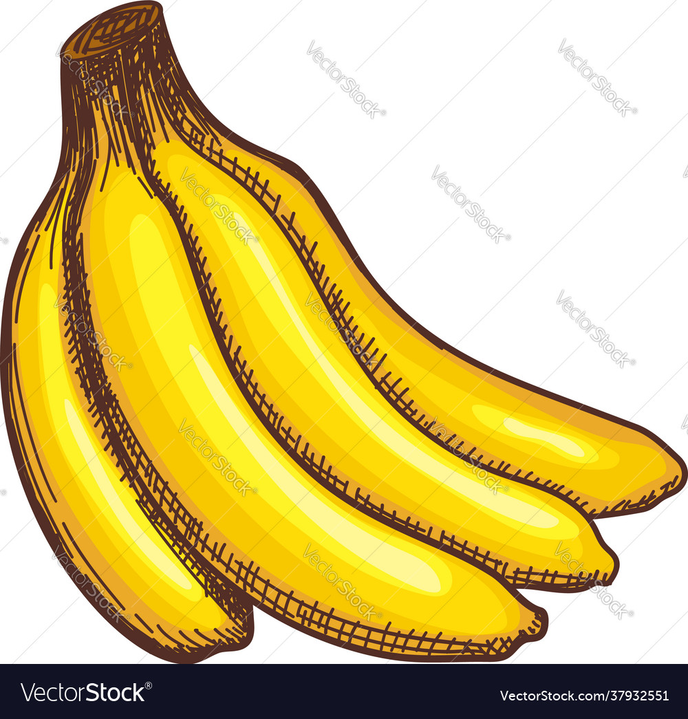 Icon banana Royalty Free Vector Image - VectorStock