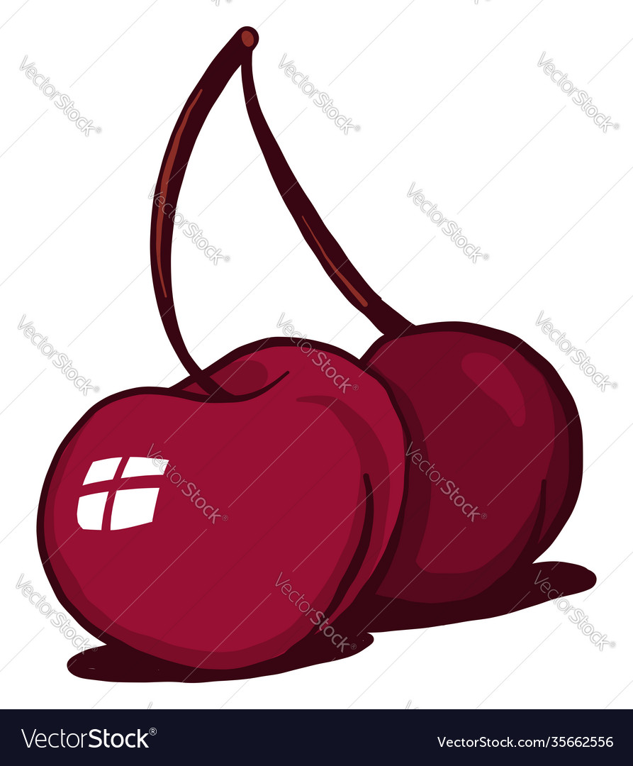 Beautiful cherry on white background