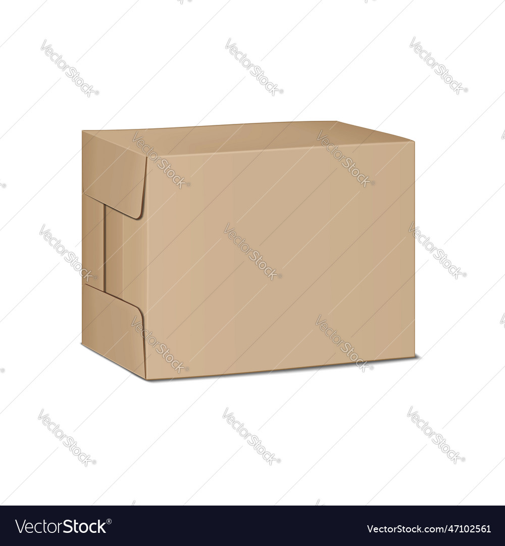 Kraft cardboard box isolated on white background Vector Image