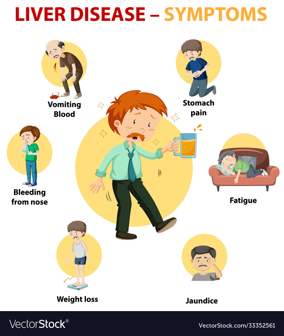 Liver disease symptoms cartoon style cartoon Vector Image