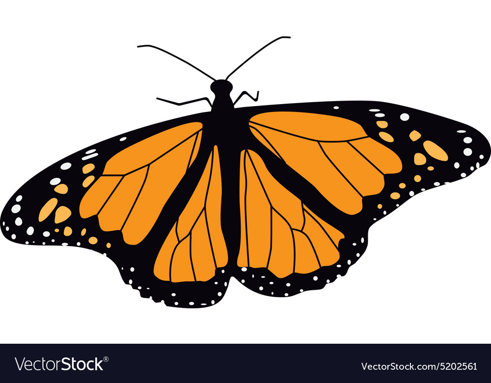 Free Free 55 Butterfly Monarch Svg SVG PNG EPS DXF File