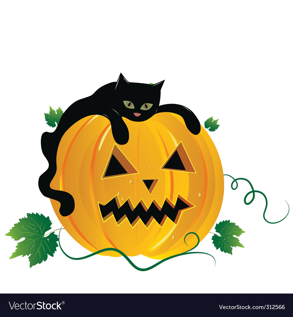 Cat and pumpkin Royalty Free Vector Image - VectorStock