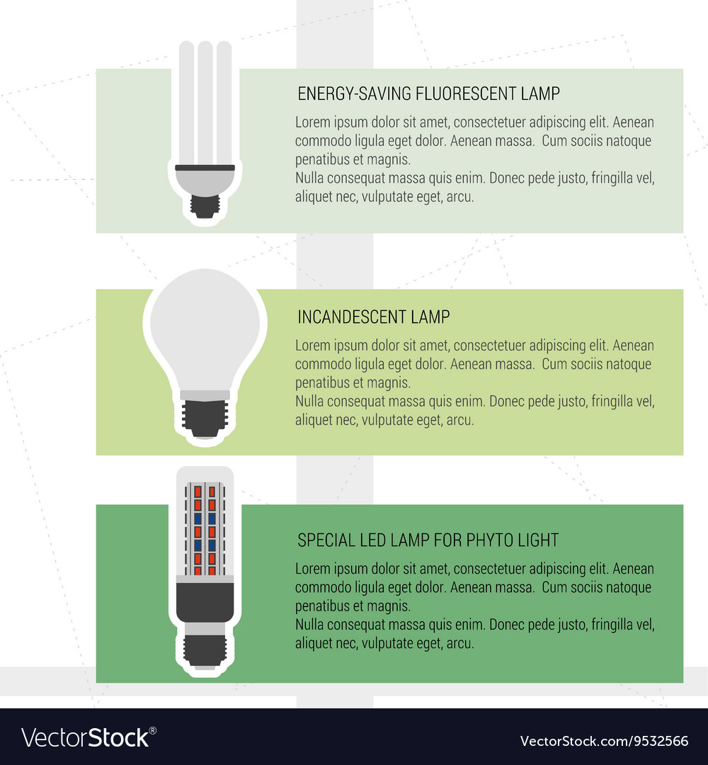 Comparison three different lamps Royalty Free Vector Image