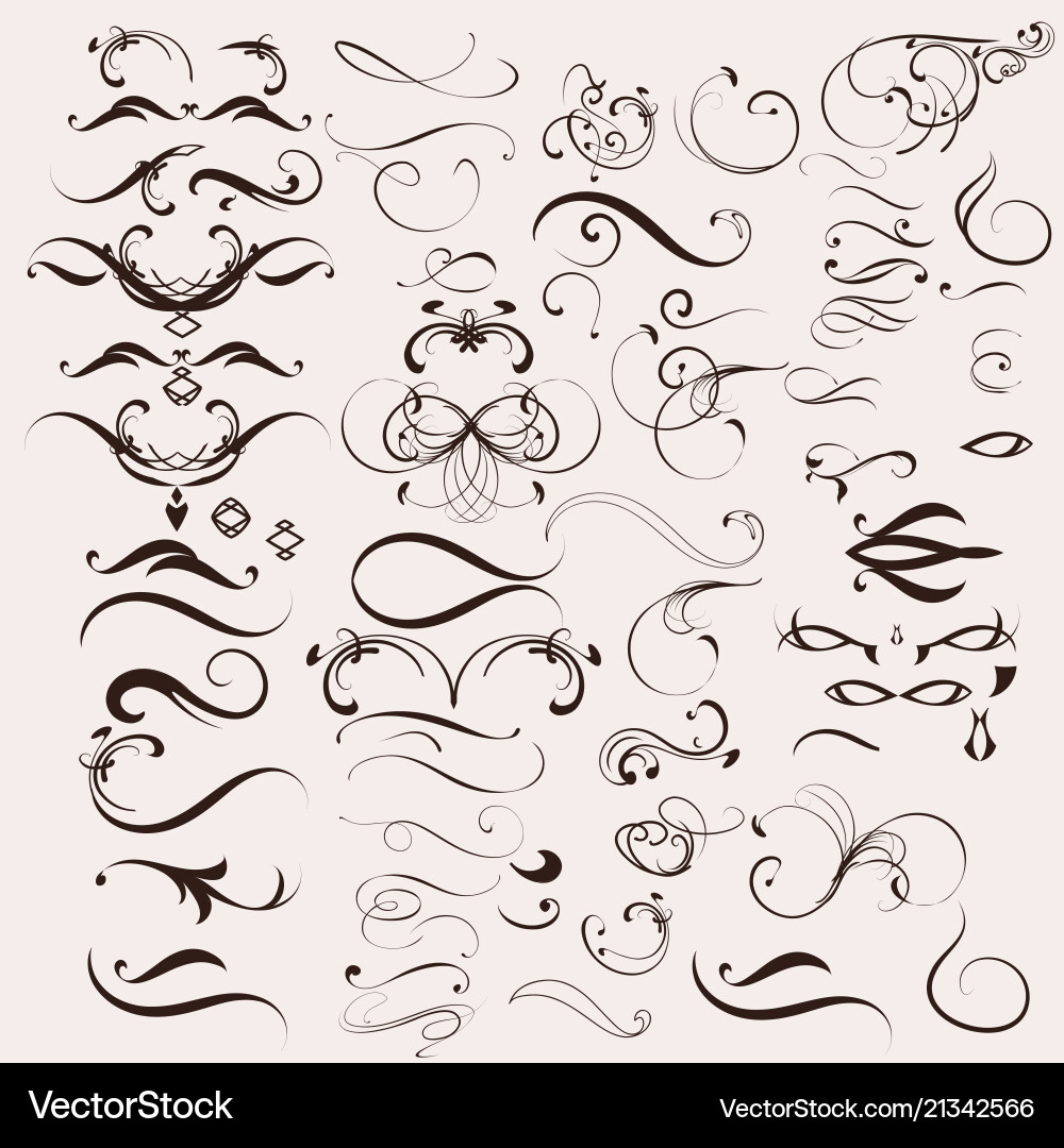 Set calligraphic elements and page decorations Vector Image