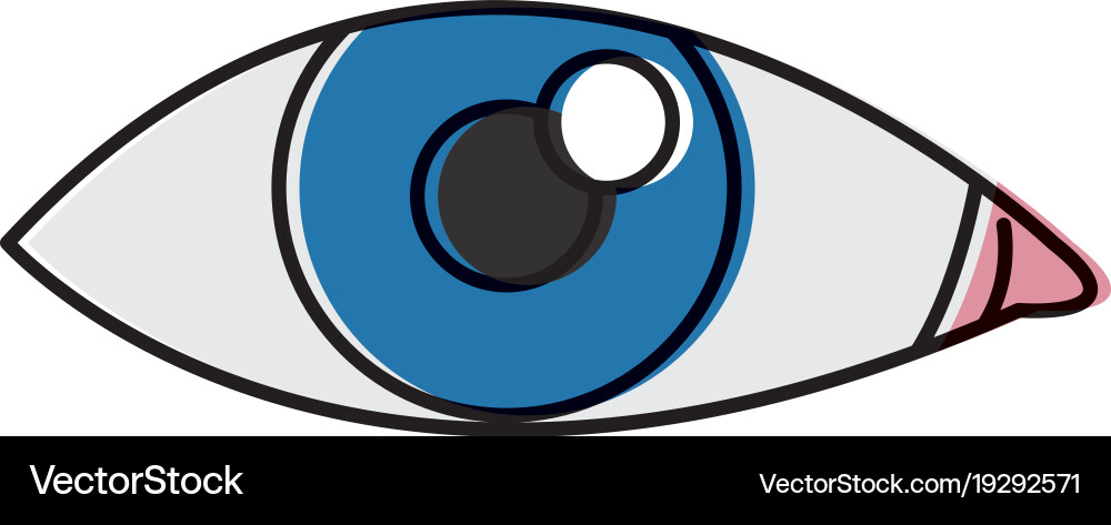 Human eye isolated Royalty Free Vector Image - VectorStock