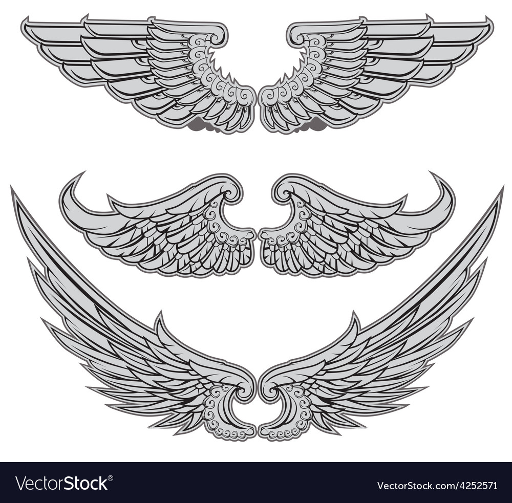 Wings Set Royalty Free Vector Image - VectorStock