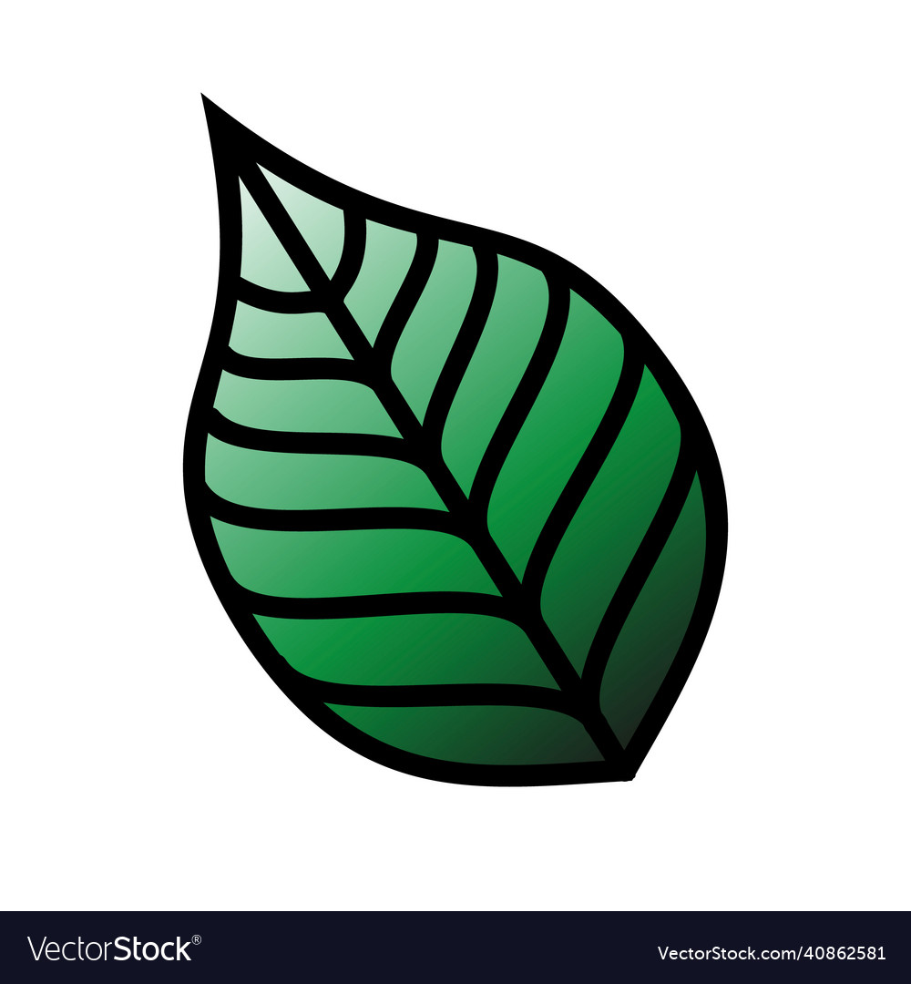 Green leaf in old school tattoo style Royalty Free Vector