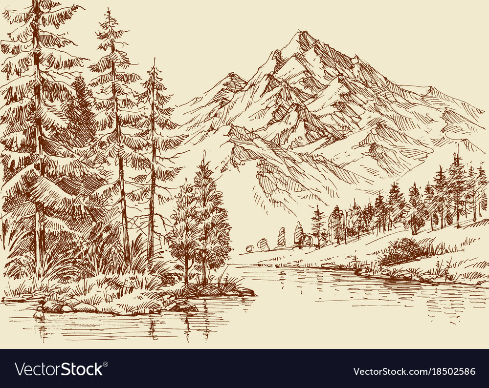 Alpine landscape river and pine forest sketch Vector Image