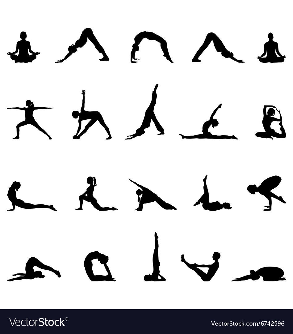 Practice yoga Royalty Free Vector Image - VectorStock