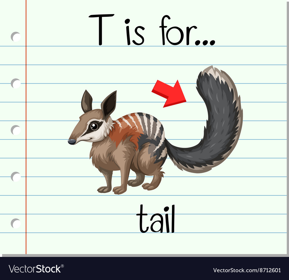 Алфавит английского языка с транскрипцией. Tail как читается. Как в английском языке читаетсябукваo. Части тела животных на английском. Хвост феи манга 100 летний квест нацу.