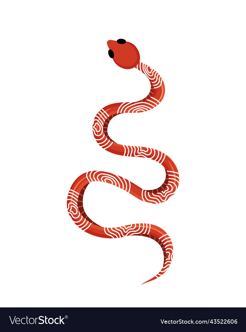 Colored snake tropical exotic rattlesnake Vector Image