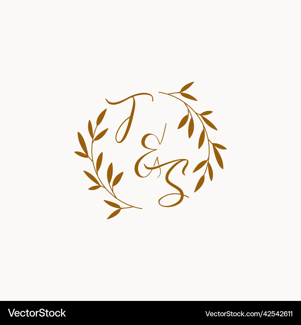 Ts initial wedding monogram logo Royalty Free Vector Image