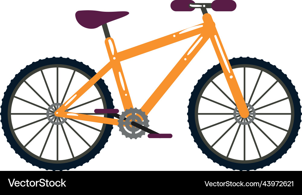 Bicycle icon isolated Royalty Free Vector Image