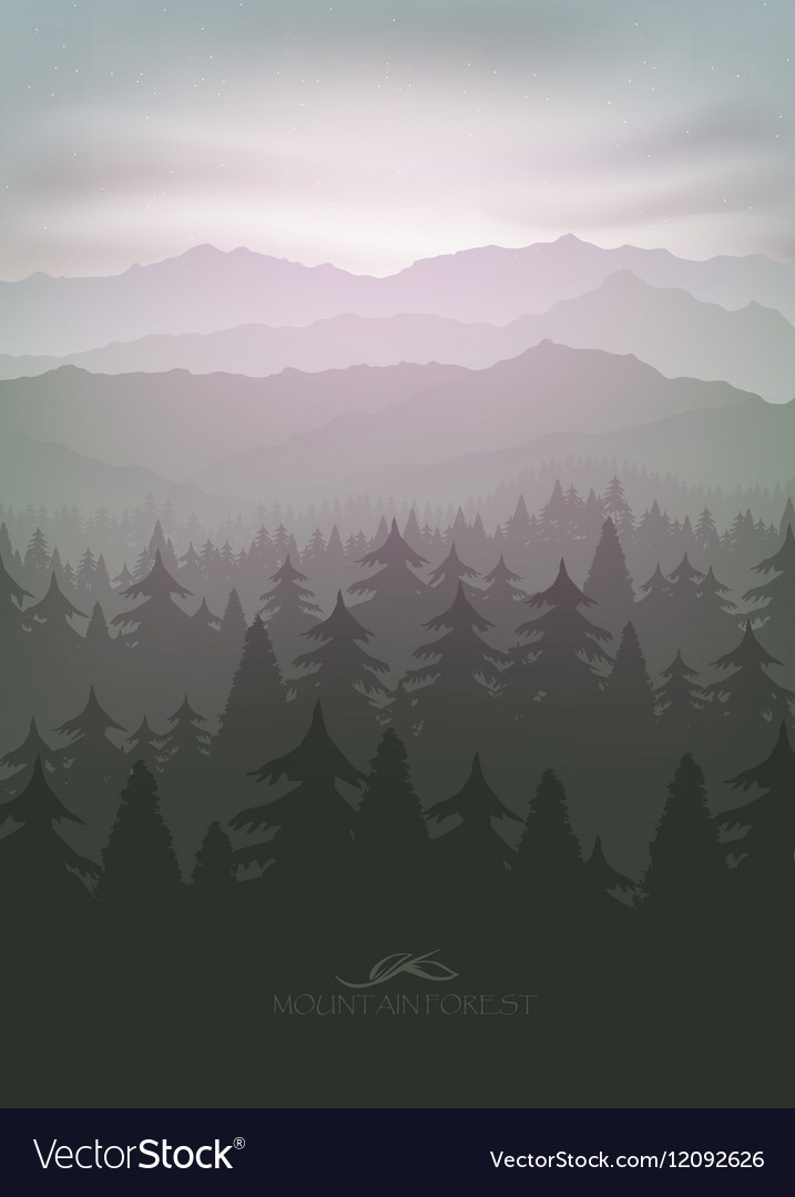 Mountain Forest In Fog And Sunrise