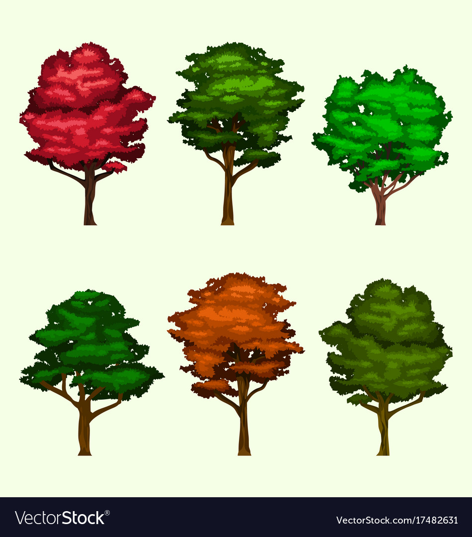 Isolated realistic tree collection set Royalty Free Vector