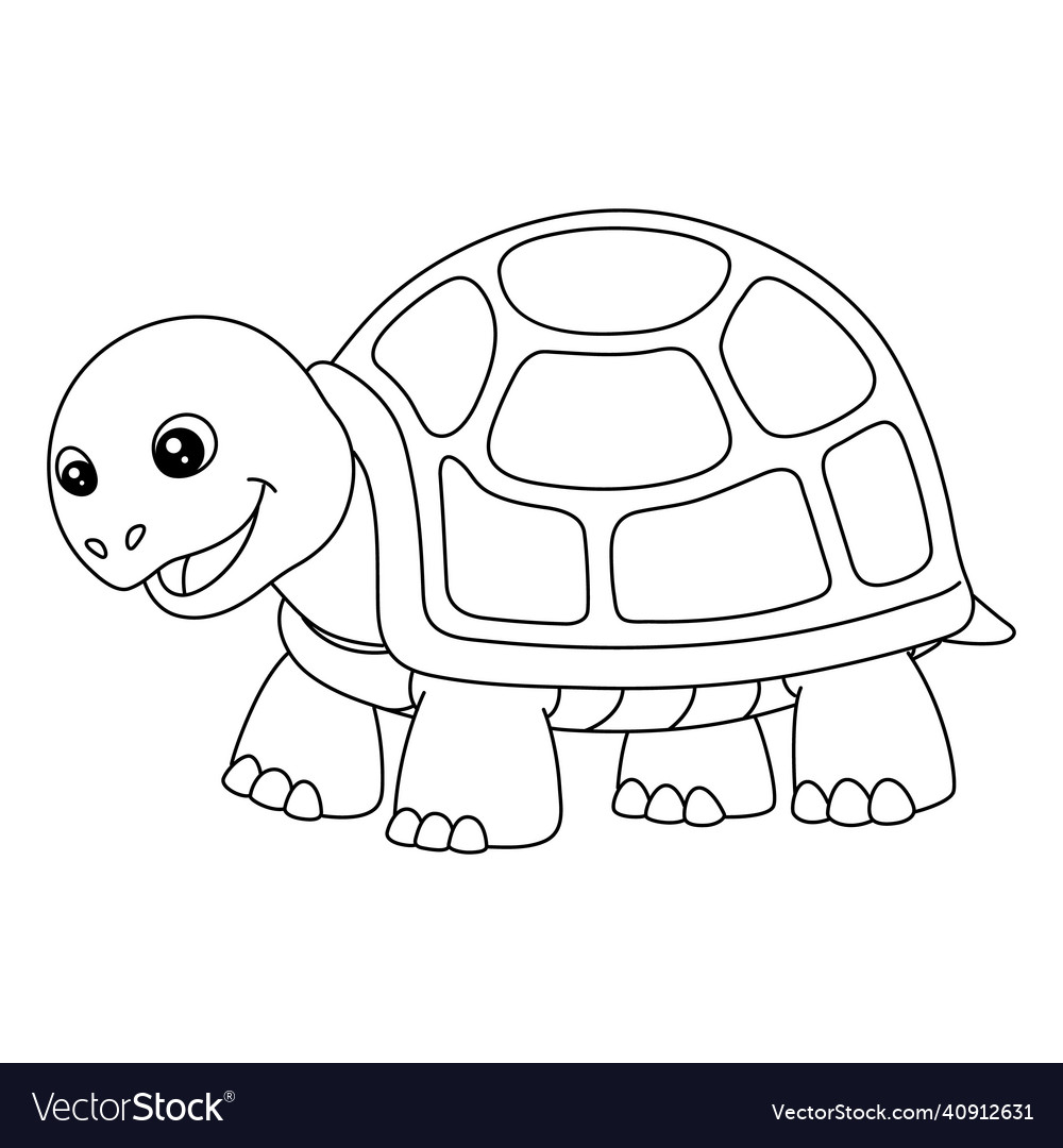 Turtle coloring page isolated for kids Royalty Free Vector