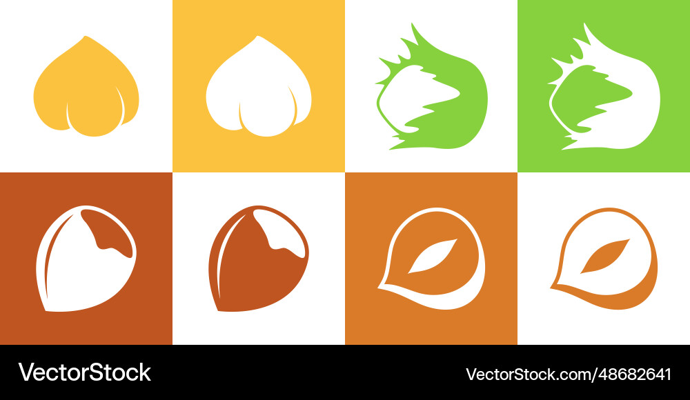 Hazelnut Royalty Free Vector Image - VectorStock