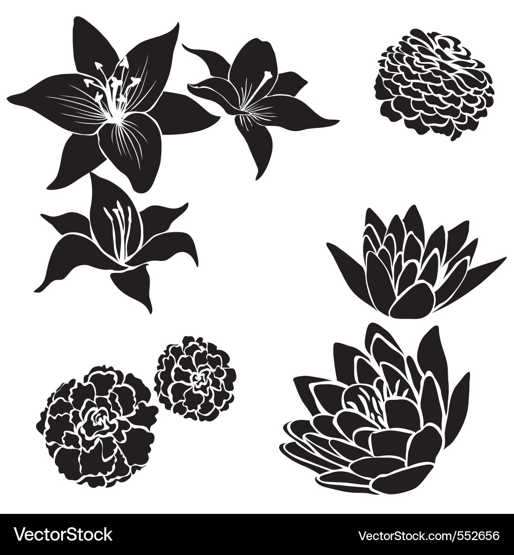 Black flower design elements Royalty Free Vector Image