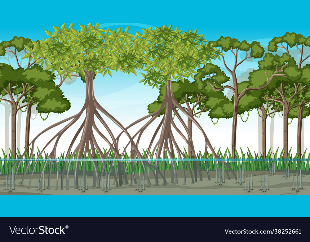 Nature scene with mangrove forest in cartoon style