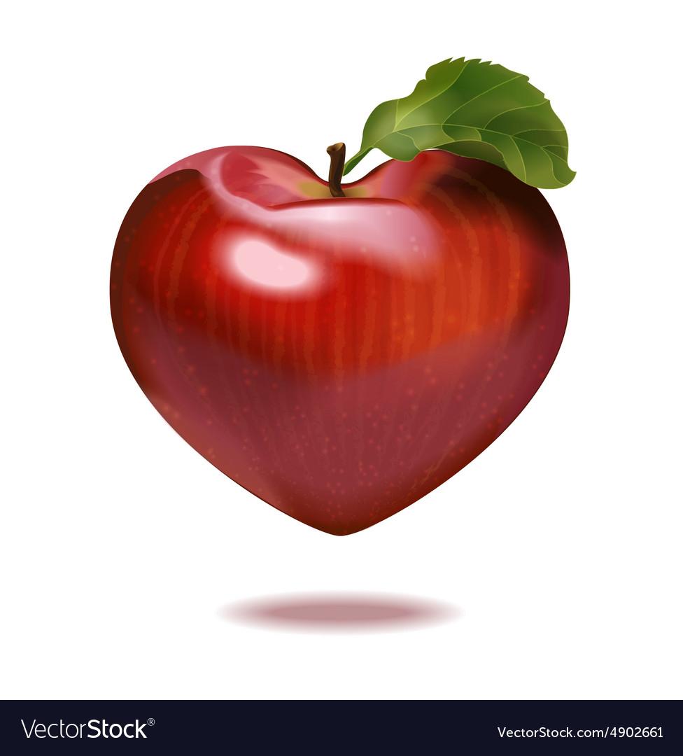 Print apple heart Royalty Free Vector Image VectorStock