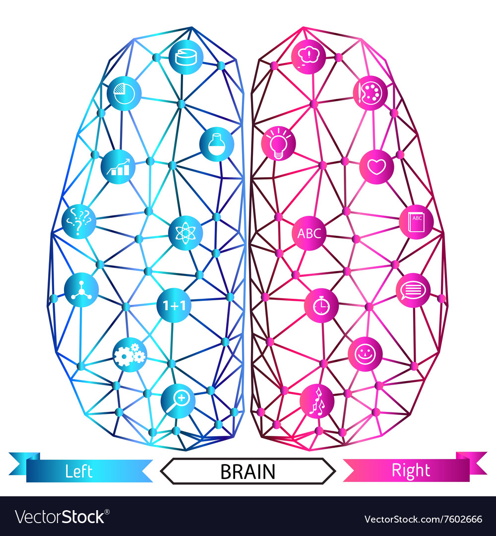 Left and right brain functions concept Royalty Free Vector