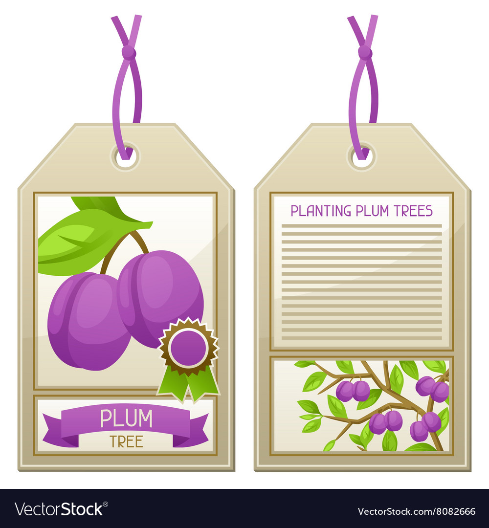 Sale tag seedlings plum trees instructions